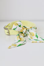 Limoncello Bow