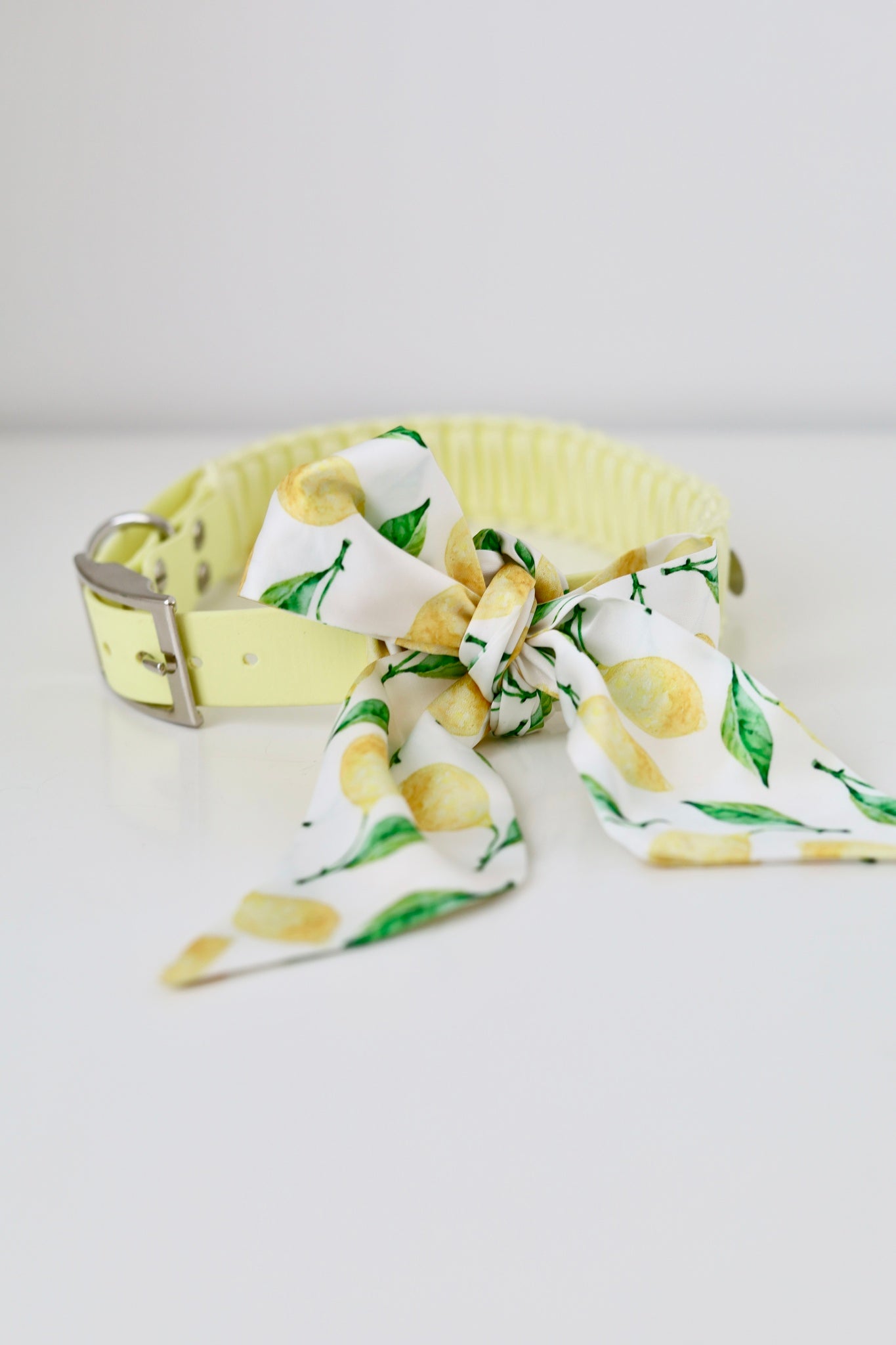 Limoncello Bow
