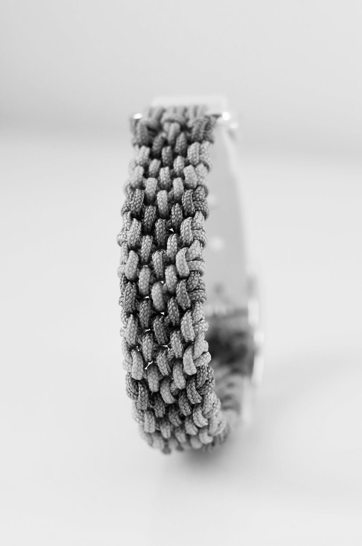 Wisteria Mini