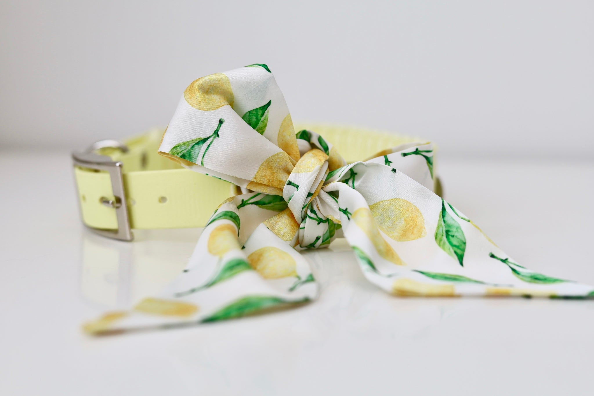 Limoncello Bow