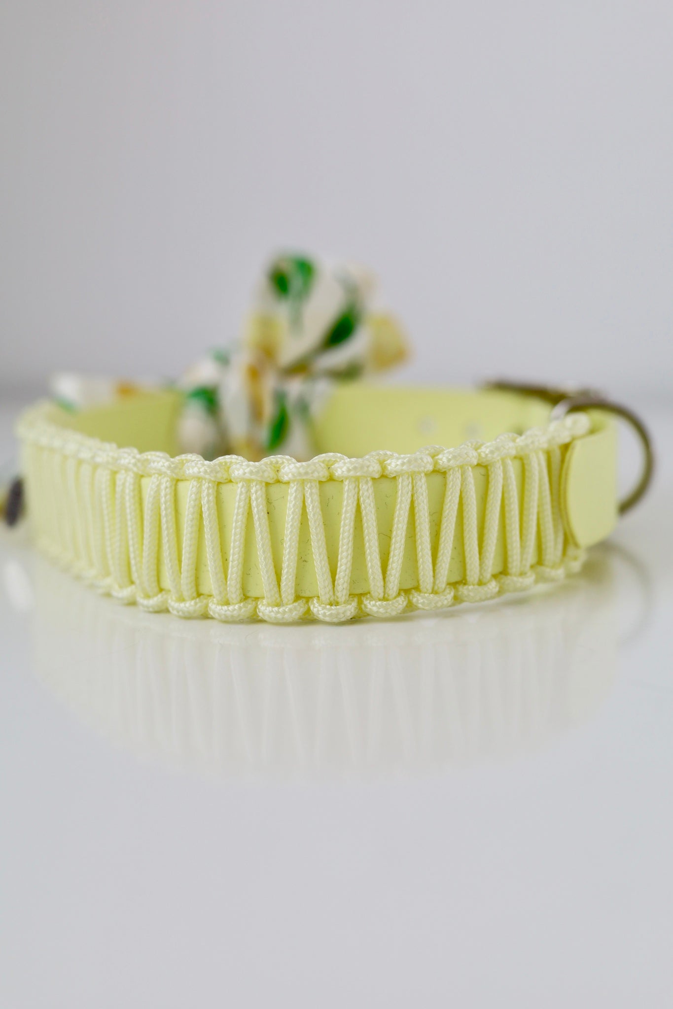 Limoncello Bow